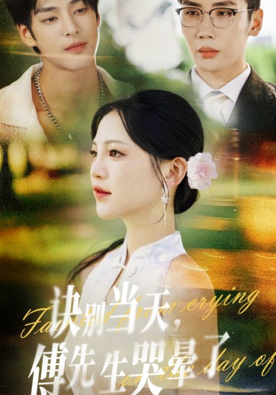 诀别当天傅先生哭晕了(全集)